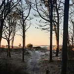 New Between Forest And In Ogna Sirevåg