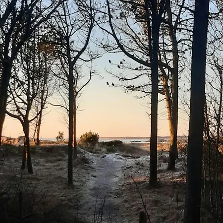 New Between Forest And In Ogna Sirevåg
