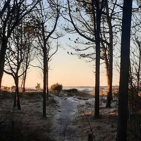 New Between Forest And In Ogna بيت للعطل Sirevåg