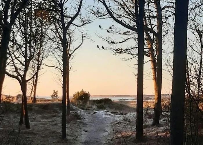 New Between Forest And In Ogna Sirevåg